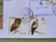 Indonesia 2018 Cover To Nicaragua - Birds Owl Raptors Water Birds Parrot - Indonésie