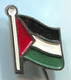 PALESTINE - Polisario, Flag, Political Party, National Front, Vintage Pin, Badge, Abzeichen - Associations