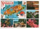 Beau Timbre , Stamp " Poissons " Sur Cp , Carte , Postcard De 1989 - Bahamas (1973-...)