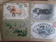 Delcampe - Album De Famille Avec Plus De 500 Cartes  Meme Correspondance   Avec Villages Et Animations . Fantaisies - 500 Cartoline Min.