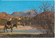 Morocco Postcard Sent To Denmark 1978 - Other & Unclassified