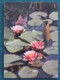 Sweden 1995 Postcard "aquatic Flowers With Butterflies Stickers" To Kalmar - Goat - Suède