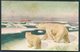 1924 Norway FRAM  Polar Bear Ship Postcard. Polhavet - Covers & Documents