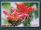 Bangladesh Postcard "flowers" Unused - Bangladesch