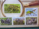 Australia MINT Stamps Sheet Endangered Wildlife Gorilla Birds Elephant Frog Turtle Leopard - Neufs