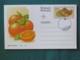 South Africa 1982 FDC Stationery Maxicard "orange Fruits" - Afrique Du Sud