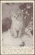 Kitten - O Birdie, Come!, 1903 - Landor's Cat Studies Postcard - Cats
