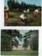 Delcampe - LOT De 100 Belles Cartes De PROVINCE-pas De Paris-Toutes Différentes-BE-frais D'envoi Pourla F 6.70 (V Qq Scans) - 100 - 499 Postcards