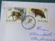 Poland 1990 Cover To Germany - Animals Deer Wild Cat - Lettres & Documents