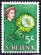 ST HELENA 1961 QEII 5/- Yellow, Brown & Green SG187 MH - Saint Helena Island