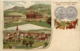 Flawil - Schützenfest 1899 - Litho Prägekarte - Flawil