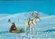 Alternative Transport In Lapland - Finland. Sent To Denmark  1974   # 07600 - Other & Unclassified