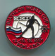 Ski Skiing Jumping - BIATHLON World Cup, Pokljuka Slovenia, Pin, Badge, Abzeichen - Biathlon