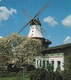Kappeln An Der Schlei - DAMPFLOKOMOTIVE 1266 - Boten/Schiffe - Windmühle - Treinen