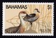 THEMATIC FAUNA:   SEA BIRDS. BAHAMA DUCK,  REDDISH EGRET,  BROWN BOOBY, WEST INDIAN TREE DUCK   -  BAHAMAS - Albatro & Uccelli Marini