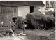 En 1900. REPRO. La Rentée Des Foins. Basse-cour, Cochon, Charrette, Cheval. En Bon état. SCAN. - Champagne-Ardenne