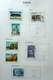 Europe Collection In Davo Album(2) - Collections (with Albums)