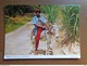 Delcampe - Doos Kaarten (2kg793) Allerlei Landen En Thema's (zie Foto's) - 500 Postcards Min.