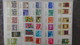 Delcampe - Grosse Collection De Timbres + Blocs + Carnets D'Israël Tous Avec Tabs Et **. Côte ++ A Saisir !!! - Collections (en Albums)