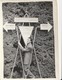 Photo - Turkey / İzmir - 1940/50: Izmir Young Man Under The Fairground Signs. - Turquie