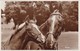 Postcard Horses Between Us Two Mare And Foal Close Up RP My Ref  B12655 - Caballos