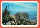 Monaco 1985. Cactusses. Postcard Passed Mail With A Special Stamp. - Cactusses