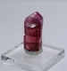 7.3 Cts Pink Tourmaline Crystal W/ Natural Termination, Lepidolite. Russia - Minerals