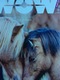 WOW Magazine (journal Islandais En Langue Anglaise - 2017) : Bringing Home The Horses - Scandinavische Talen