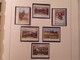 Delcampe - Album FF  / Collection De Timbres De ROUMANIE  Tous Neuf ** Sans Charnière MNH Dont Blocs  Superbe - Collections