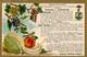 Landwirtschaft Törökbecse Ungarn Obst Gemüse Gedeon V. Rohonczy 1902 I-II Paysans - Expositions