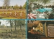 Delcampe - BELGIË Provincie Limburg Lot Van 60 Postkaarten, 60 Cartes Postales - 5 - 99 Postkaarten