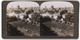 Stereo-Fotografie American Stereoscopic Co., Ansicht Jerusalem, Church Of St. Anne And Mosque Of Omart, Kirche, Moschee - Stereo-Photographie