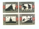 Notgeld Stadt Detmold, 10x 50 Pfennige, Verschiedene Motive, Konvolut, 1922 - Autres & Non Classés