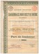 Ancienne Action - Société Anonyme Des Charbonnages Nord-Ouest De Bohême - Falkenau - Titre De 1899 - N° 06445 - Mines