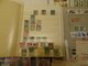 Delcampe - Lot With World Stamps - Lots & Kiloware (min. 1000 Stück)