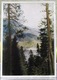 Abkhazia Georgian USSR Postcard 1946 Lake Ritsa Forest Landscape Russian Postcard - Russia