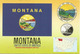 The Flag Of The State Of Montana, Postcard Montana, Addressed To ANDORRA, With Arrival Postmark - Autres & Non Classés