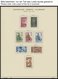 SAMMLUNGEN, LOTS O,* , 1947-56, Meist Gestempelte Sammlung Saarland Mit Diversen Mittleren Ausgaben, Fast Nur Prachterha - Andere & Zonder Classificatie