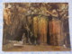 Slovenia - Unused Postcard - Skocjan Caves - Slovenia