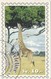 Telecarte  - SUISSE TELELINE -   GIRAFE - Dschungel