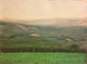 Paesaggio 50 X 70 - Pastelli