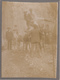 Photo Sur Carton D'une Acrobatie Sur Âne Et Cheval En 1904 - Burros