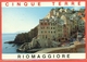 STORIA POSTALE PER L'ESTERO- LIRE 750 GIARDINI CASERTA- 1995 -  PER LA GERMANIA - RIOMAGGIORE - 1991-00: Storia Postale