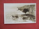 RPPC  To Id   Ref 3112 - A Identificar