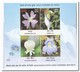 India 2013, Postfris MNH, Flowers - Ongebruikt