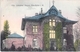 NEU KALISS Mecklenburg Villa Geheimrat BAUSCH Efeuberankt Color Gelaufen 19.6.1915 DÖMITZ - Ludwigslust