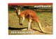 Cpm - Australie - KANGOUROU - Red Kangaroo - 1998 - Autres & Non Classés