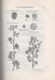 Egypt: V. Täckholm, 1st. Ed., 1956, Students Flora Of Egypt - Andere & Zonder Classificatie