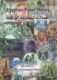 Egypt: Egyptian Paper Money, By Sayed Desokey El Sherif, 2002 - Boeken & Software
