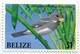 Lote Be8, Belize, 2009, Sello, Stamps, 5 V, Endangered Birds Of Belize - Belice (1973-...)